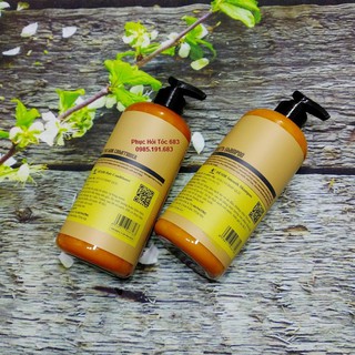 Dầu Gội Xả Desir phục hồi tóc 500ml