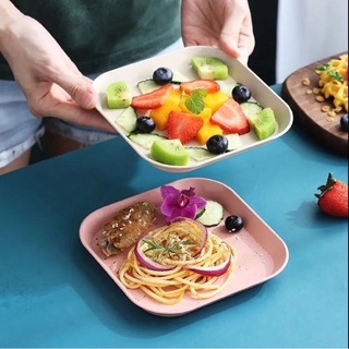 SÉT 8 ĐĨA LÚA MẠCH