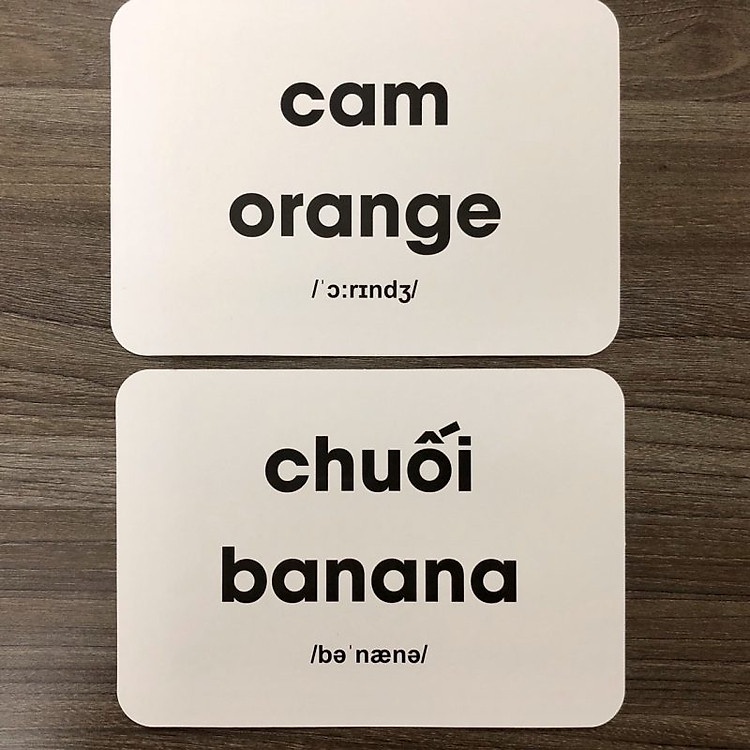 (Chính Hãng) Bộ Thẻ Học Thông Minh Glenn Doman - Bộ 100 Thẻ Thế Giới Xung Quanh