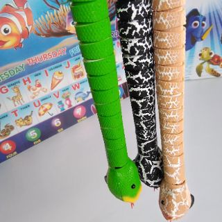 Rắn rết điều khiển