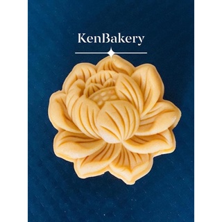 Khuôn trung thu lò xo sen béo 75g, 150g, 200g