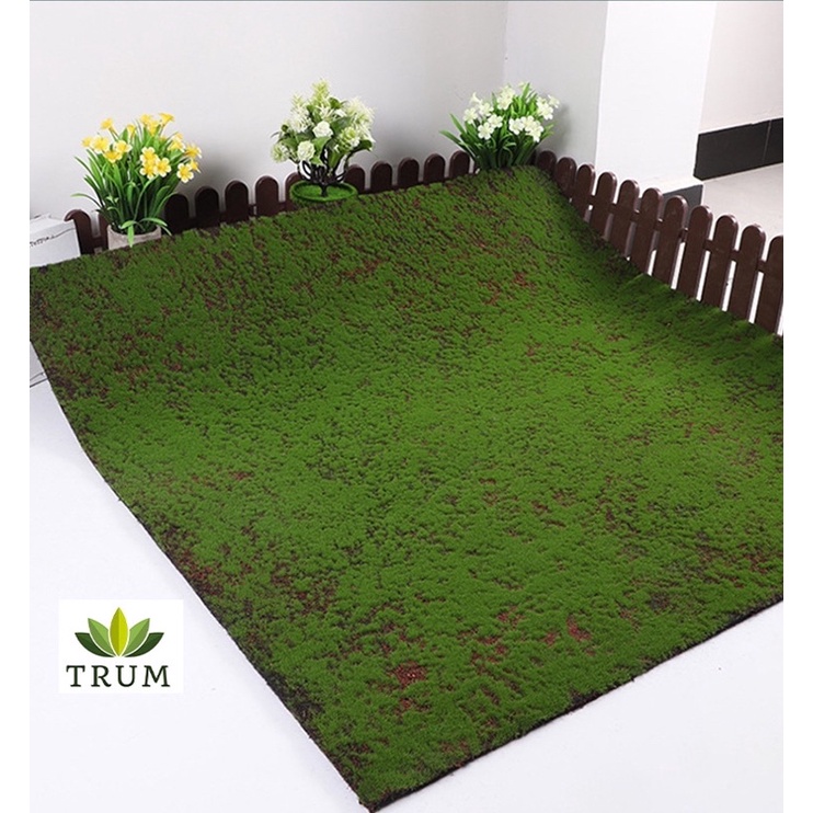 Thảm cỏ rêu nhân tạo  nguyên tấm 1*1m trang trí decor