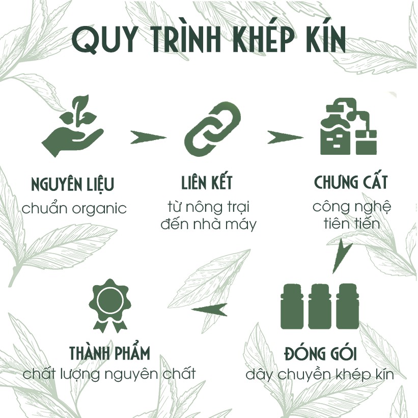 Tinh dầu hoàng đàn nguyên chất Mộc Nhiên Hương 10ml sang trọng, diệt khuẩn, khử mùi, xông phòng, thư giãn