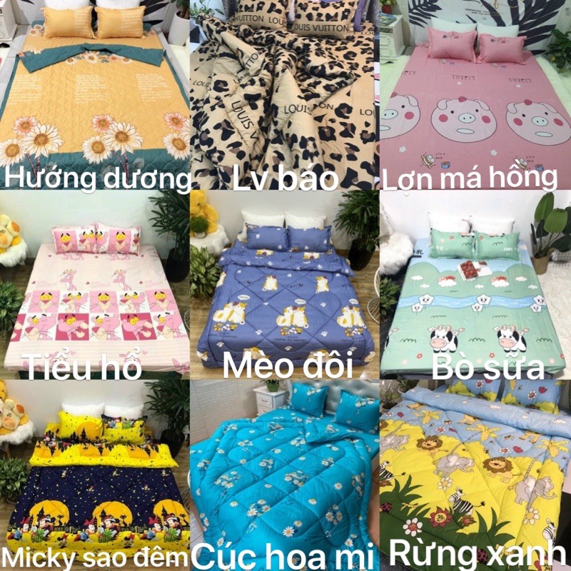 Bộ GA chun kèm 2 vỏ GỐI cotton POLY, giá xả kho. Khách được chọn mẫu