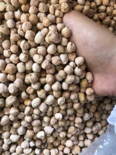 Hạt đậu gà - gói 500g