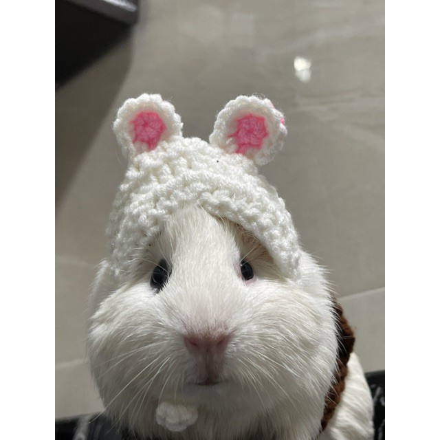 SET ÁO LEN GẤU BROWN CHO HAMSTER, CHUỘT, BỌ Ú...