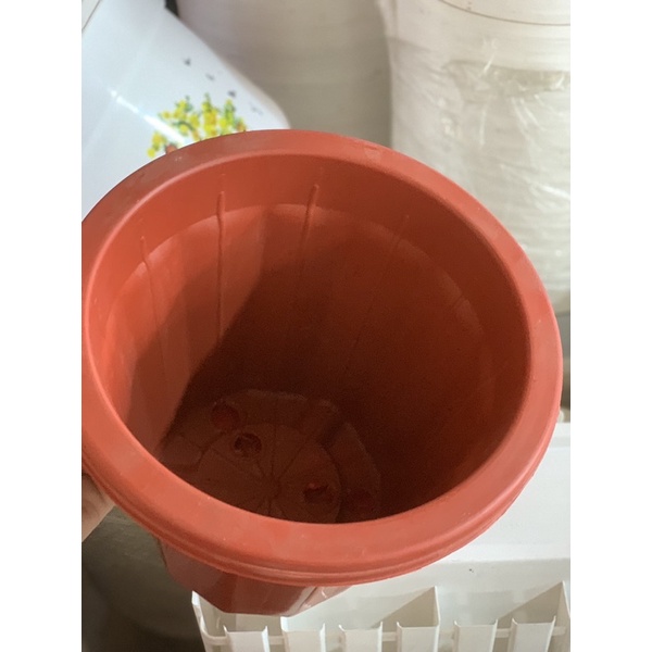 🌱Giá sỉ🌱 Chậu nhựa đỏ tròn dáng cao E260-E350 trồng hoa, cây cảnh