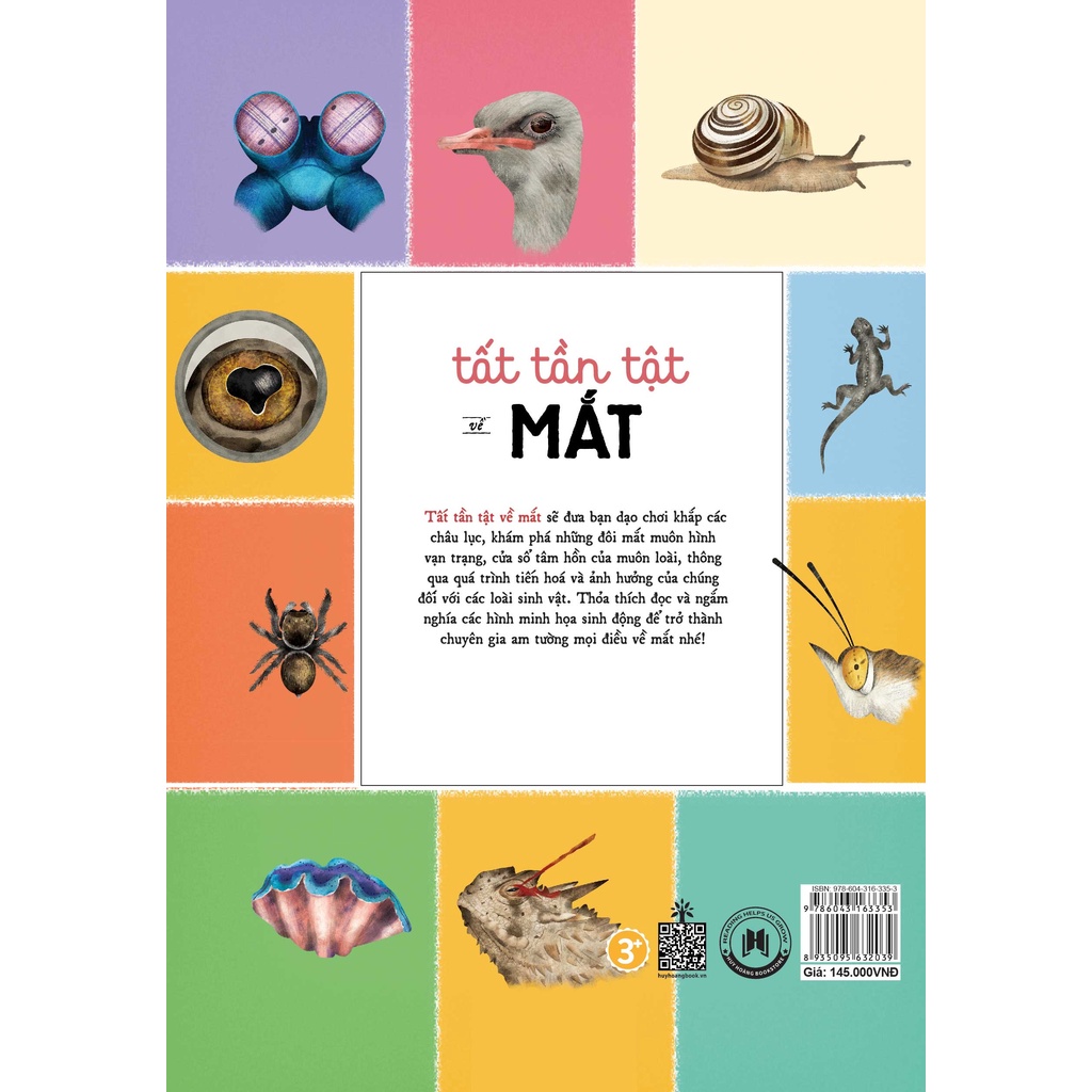 Sách - Tất tần tật về mắt kèm tên sách gốc: All about the eye (Huy Hoàng)