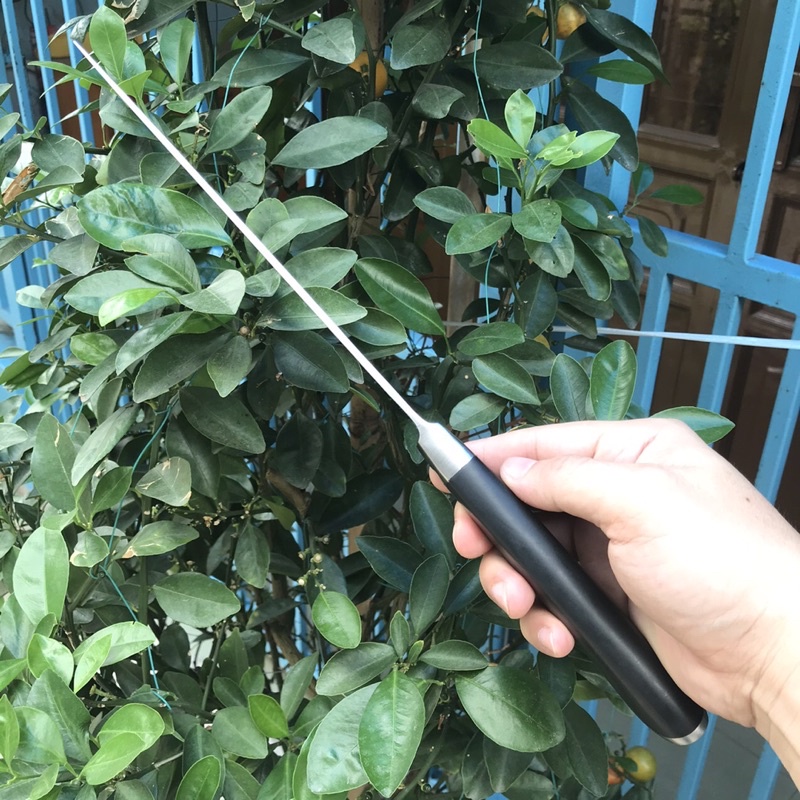 Dao làm bếp Nhật dài 35cm cực kỳ bén, thép liền khối, không rỉ