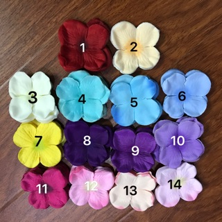 Cánh hoa cẩm tú cầu