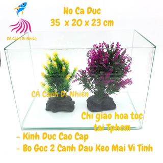Hồ kính đúc nuôi cá thủy sinh 2 cạnh uốn cong bể size 35x20x23 cm