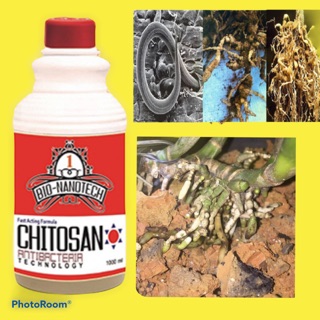 CHITOSAN THÁI PHÒNG VÀ TRỊ TUYẾN TRÙNG HẠI CÂY HIỆU QUẢ 1000ml