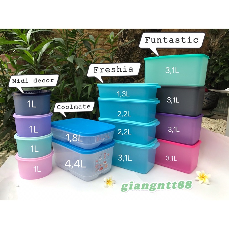 Bộ trữ mát Freshia / Funtastic four 3.1L / Stak n stor / Coolmate / midi deco Tupperware | BigBuy360 - bigbuy360.vn