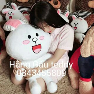 Thỏ bông cony