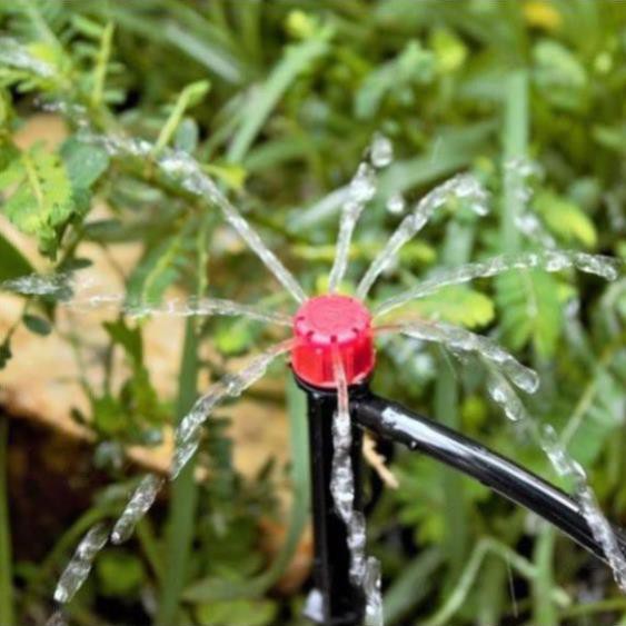 Bộ KIT tưới cây tự động 20 béc nhỏ giọt kèm van nước hẹn giờ tự động, 20m dây và đầy đủ phụ kiện