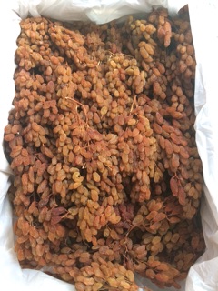 Nho khô nguyên cành Úc (túi nửa kg)