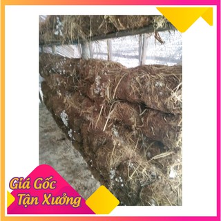 Bột lông vũ cao cấp