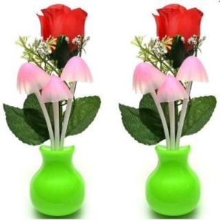 Đèn ngủ cảm ứng nấm chùm và hoa hồng