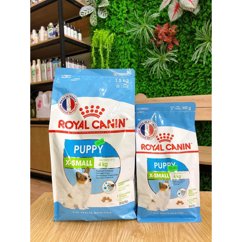 Thức Ăn cho chó Royal Canin X-Small