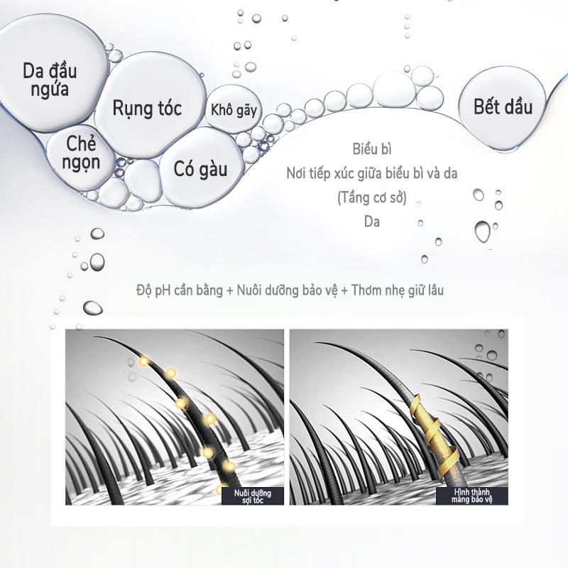 Tinh dầu dưỡng tóc lạt mộc tử hồng sâm Mompick 2ml x 10 gói | BigBuy360 - bigbuy360.vn