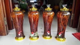 Nấm Linh Chi Sừng Hươu ( 1 kg )