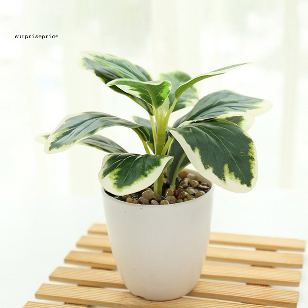 Chậu Cây Cảnh Nhân Tạo Sống Động Dùng Trang Trí Nhà Cửa/ Tiệc Cưới