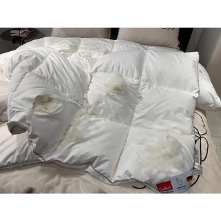 Ruột chăn lông vũ cao cấp Gabel Goose Down Quilt