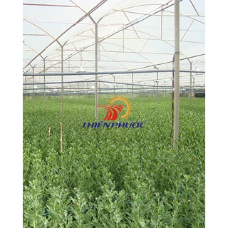 Lưới chắn côn trùng 20 mesh