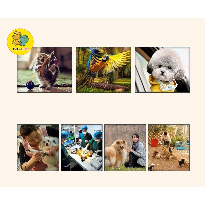 Bột Cầm Máu Bioline - Cầm máu Friendbaby Cho Thú Cưng Chó Mèo shopviet