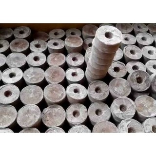 combo 10 viên nén sơ dừa ươm hạt