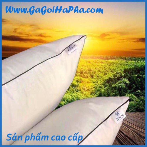 Ruột gối bông gòn kháng khuẩn Loại 1, 50x70cm