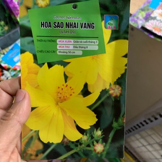Hạt hoa sao nhái nhiều mầu (500 hạt) đếm lẻ