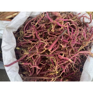 1kg Viễn chí rừng