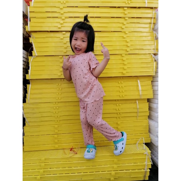 Sàn heo 110x40 cm lót nhựa nguyên sinh