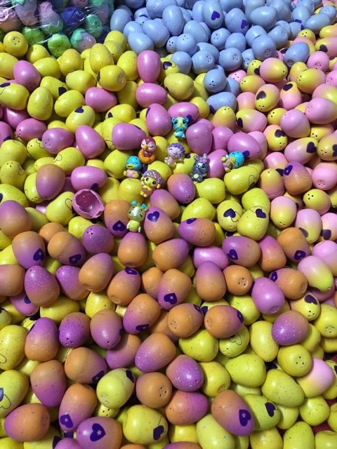 Combo 20 Trứng nở Hatchimals đủ 3 màu