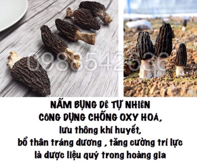 5 loại nấm quý & đông trùng hạ thảo hầm canh thuốc tẩm bổ