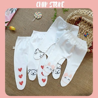 Quần tất cho bé liền bàn chất zip Hàn dày dặn xịn mịn có size sơ sinh - 10kg CHIP STORE