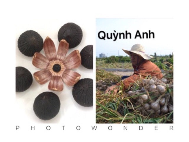 1kg tỏi Đen PR lên men 45 ngày | BigBuy360 - bigbuy360.vn