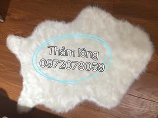 Thảm lông cừu cao cấp lông vừa