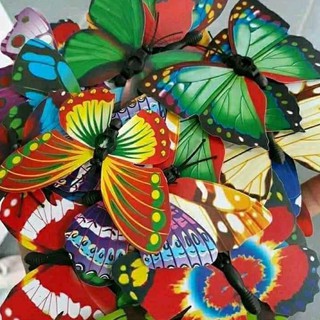 Con Bướm (6 con) trang trí bánh sinh nhật, bánh rau câu