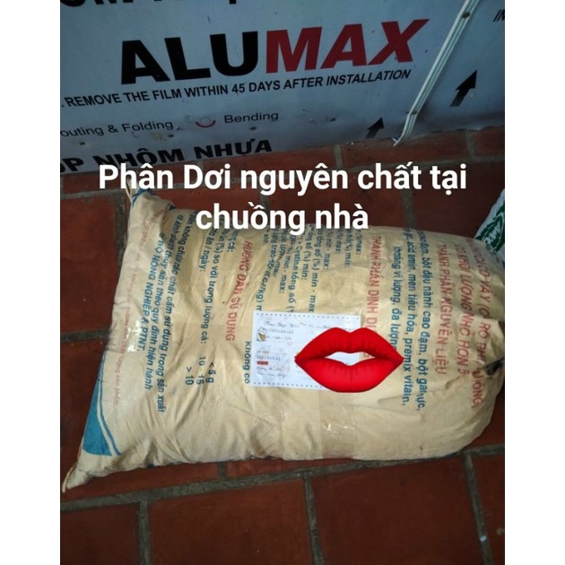 Phân Dơi nguyên chất giá rẻ Cà Mau