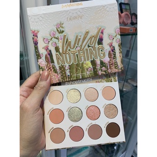 Bảng phấn mắt Colour Pop Wild Nothing