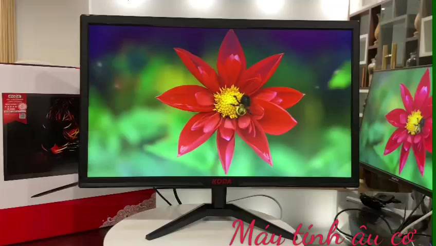 Màn hình máy tính 19 inch - 22inch full HD - 24 nch - 27 inch , 75Hz  Full Viền Mới 100% ,siêu đẹp ,kiểu ráng tinh tế | BigBuy360 - bigbuy360.vn