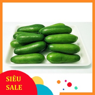 1g Hạt giống Dưa chuột baby (tặng gói kích nẩy mầm và hướng dẫn) VIETPHAT