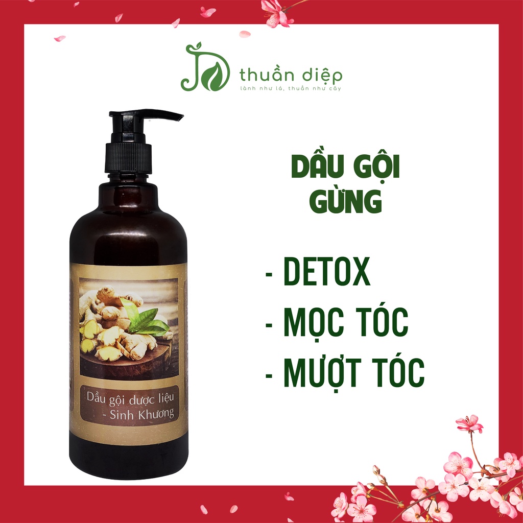 Dầu gội gừng sinh khương Thuần Diệp mượt tóc, detox, Giảm Gàu, Rụng, Nấm, Ngứa, mọc tóc handmade