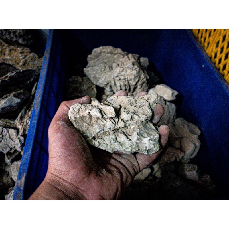 Đá Da Voi  | Trang trí Thủy Sinh, Biotope, Iwagumi,....|