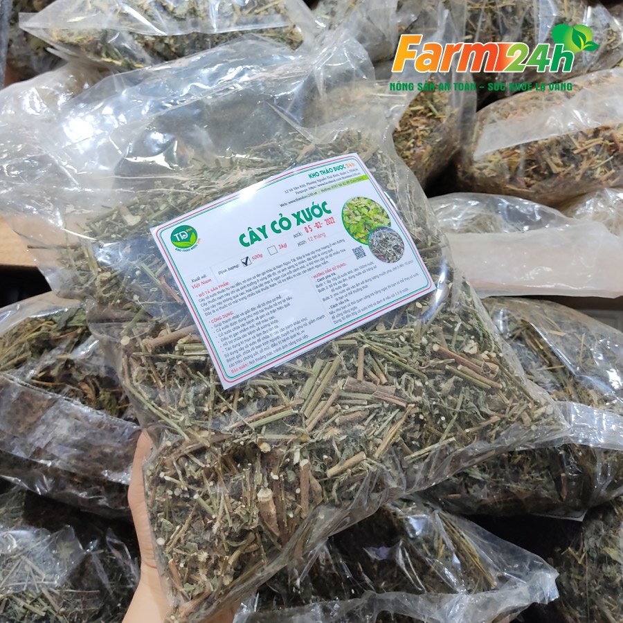 Cây cỏ xước khô, đánh bay sỏi thận, tiểu đường, mỡ máu cao, ổn định kinh nguyệt, tốt cho người bị thoái hóa khớp xương