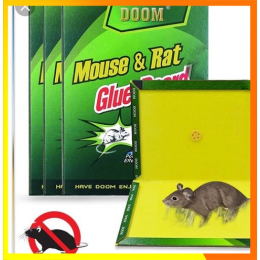 Bẫy Keo dính chuột Siêu Dính | Miếng keo dán chuột | Miếng bẫy chuột