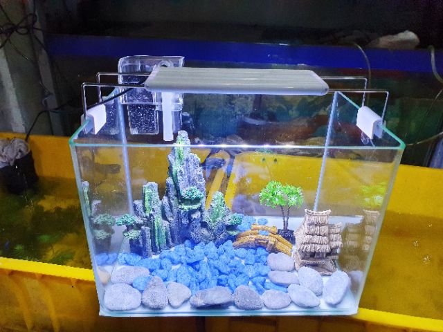 COMBO HỒ CÁ TRANG TRÍ SẴN 30x19x21cm 770