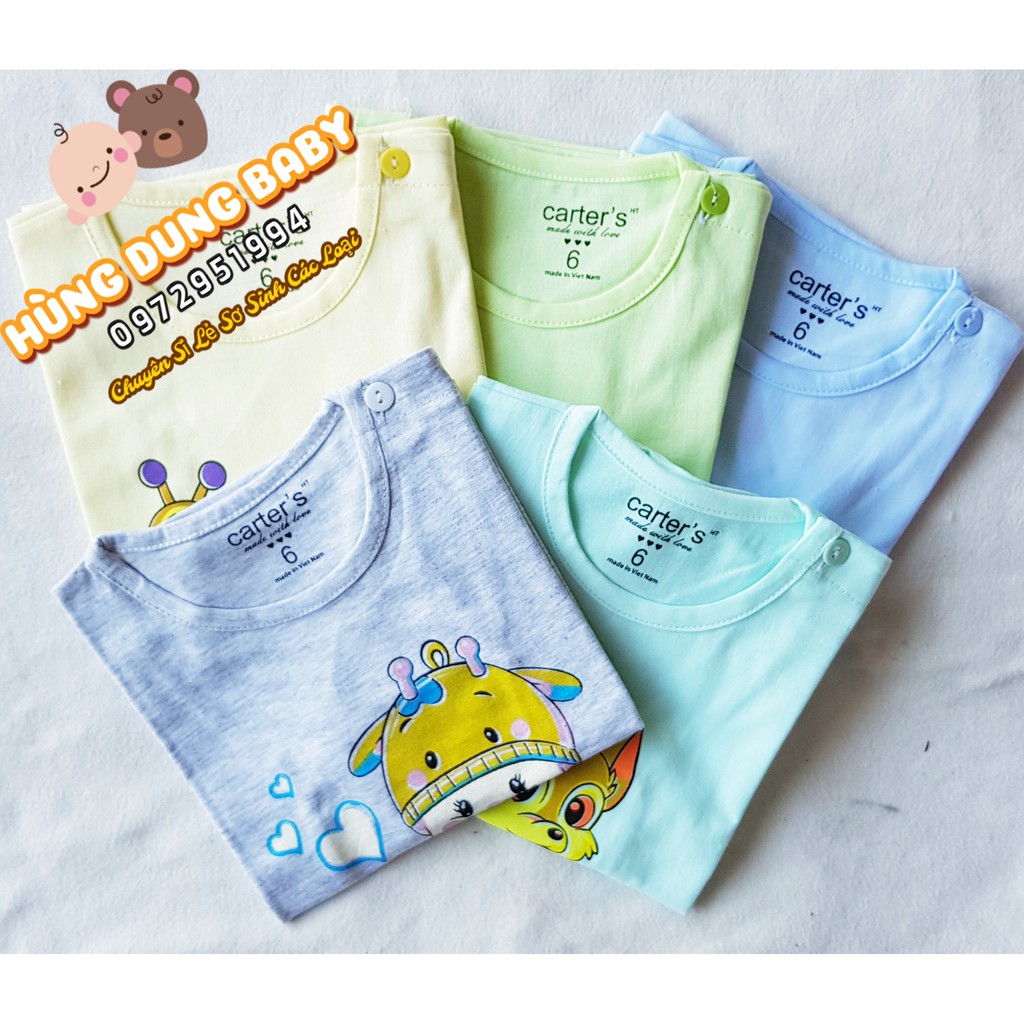 Set 5 Áo Catter cài vai ( vải trải kỹ 100% cotton ) [Bán sỉ Lẻ]